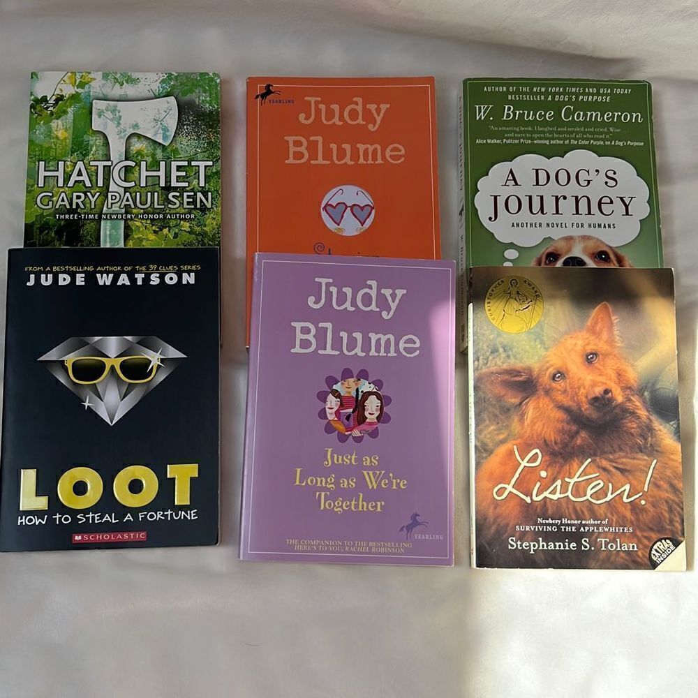 Chapter Book Bundle 4th-7th Grades